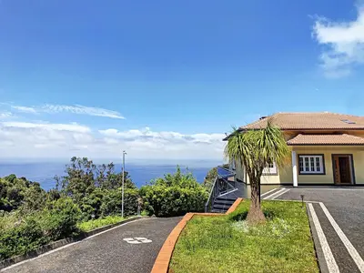 a house with a palm tree on the side of a road at Casa Leão de Ouro by LovelyStay in São Jorge