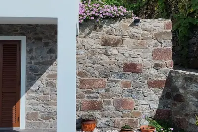 a stone wall with potted plants and flowers at O pomar - A quiet SUNNY place with amazing SEA views in Paul do Mar