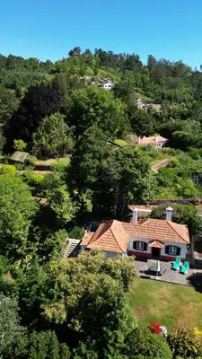 a house on top of a hill with trees at Quinta Das Faias in Camacha