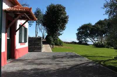 a driveway leading to a house with a grass field at Quinta Das Faias in Camacha