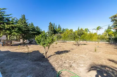 a garden with trees and a green hose at Casa Dean by Algarve Golden Properties in Lagos