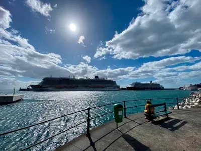 a person sitting on a bench near the water with a cruise ship at Funchal Center Apartment I in Funchal