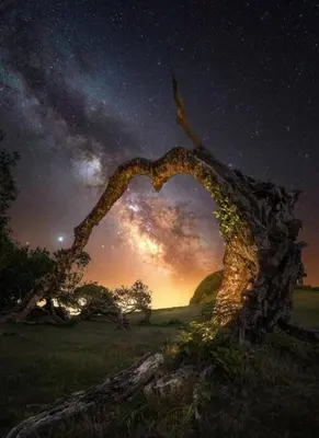 a heart shaped rock in a field with a night sky at Funchal Center Apartment I in Funchal
