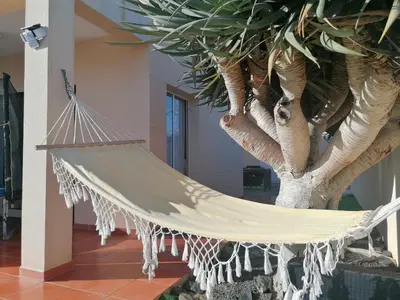 a hammock hanging from a palm tree in a room at O DRAGOEIRO da Madalena! in Porto Santo