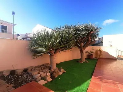 two palm trees on the side of a building at O DRAGOEIRO da Madalena! in Porto Santo