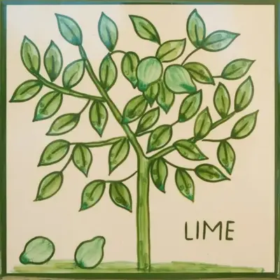 Casa Monte Cristo Apartments - Lime