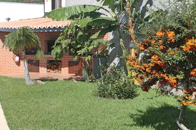 a house with a palm tree in the yard at Exquisite Madeira Villa Villa Funchal Belair 4 Bedroom Panoramic Sea View in Funchal