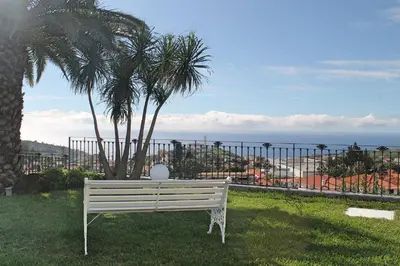 a white bench sitting in the grass near a palm tree at Exquisite Madeira Villa Villa Funchal Belair 4 Bedroom Panoramic Sea View in Funchal