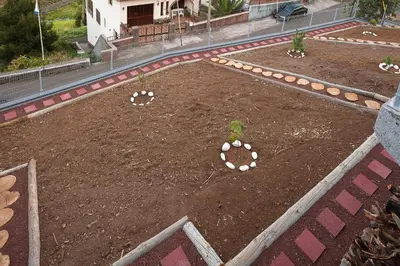 a garden with some plants in the dirt at Luxury Calheta Villa Casa Da Rosalina 5 Bedrooms Stunning Sea Views in Calheta