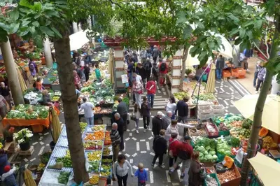 a group of people walking around a farmers market at Funchal Center Apartment II in Funchal