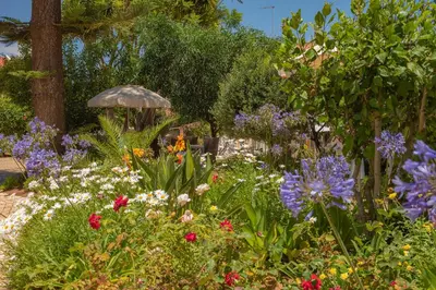 a garden with colorful flowers and an umbrella at Two bedroom apartment with garden view in Luz in Luz