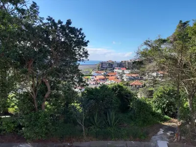 a view of a town from the trees at Apartamentos Matur Flats 2 in Machico