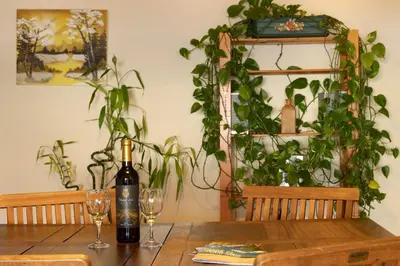 a bottle of wine sitting on a table with two glasses at Apartamento Jade in Caniço