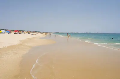 a group of people on a beach with the ocean at Villa Daisy by Villa Plus in Lagos