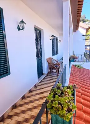 a porch with a chair and a potted plant at Maria Cottage Levada do Norte WiFi in Câmara de Lobos