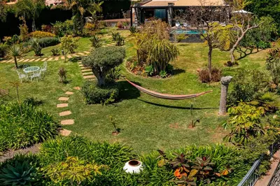 an aerial view of a garden with a hammock at OurMadeira - Garden Paradise in Calheta