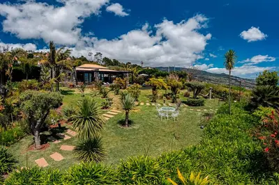 a garden with palm trees and a pavilion at OurMadeira - Garden Paradise in Calheta