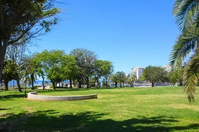 a park with trees and a bench in the grass at Sol do Lido in Funchal