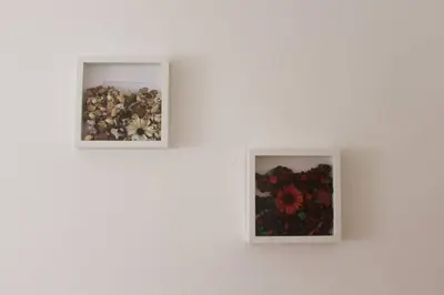 two pictures of flowers on a white wall at Casa das Flores in Vila do Bispo