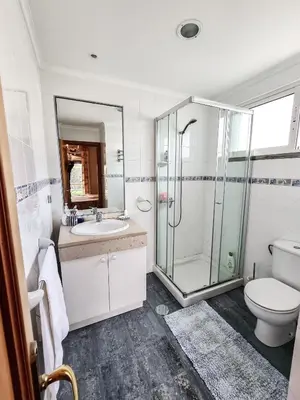 a bathroom with a shower and a toilet and a sink at Quinta do Ribeiro Salgado's Beach House in Porto Santo