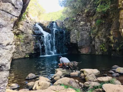 a man and a dog in front of a waterfall at Angel's Apartment in Funchal