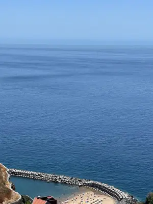 an aerial view of a beach and the ocean at Villa Atlantic Charm in Venda do Atalhinho