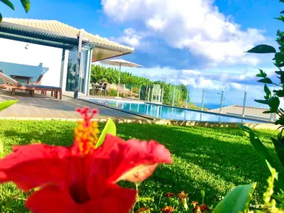 a red flower in the grass next to a swimming pool at Villa Pinheira IV -Heated swimming pool in Calheta