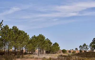 a row of trees in the middle of a field at Praia do Canal Nature Retreat - Small Luxury Hotels of the World in Aljezur