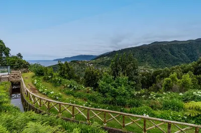 a wooden bridge over a valley with flowers at Chalet do Monte no Porto Moniz by Homie in Lanceiros