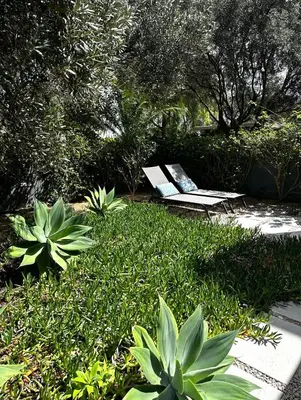 a bench and a chair in a garden at Bordal Houses Casa da Areia in Porto Santo