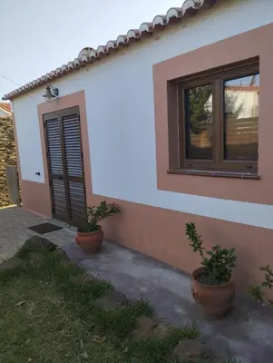 a house with two potted plants in front of it at Coureladaltura in Aljezur