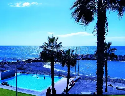 a swimming pool next to the ocean with palm trees at Quinta do Cabouco in Ribeira Brava