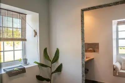 a mirror in a room with a plant at Casita - Cantinho do Paraíso in Vila do Porto