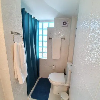 a small bathroom with a toilet and a shower at Seaside Studio in Sagres - 38 sqm with Terrace and Garden in Sagres