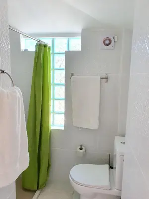 a bathroom with a toilet and a green shower curtain at Seaside Studio in Sagres - 38 sqm with Terrace and Garden in Sagres