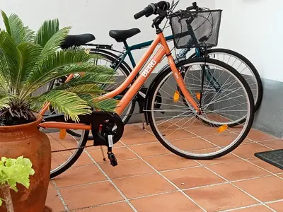 an orange bike is parked next to a plant at Scenic Comfort in Ponta Delgada