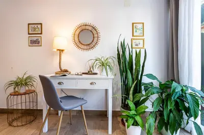 a desk with a chair and plants in a room at A Casa da Tia in São Vicente