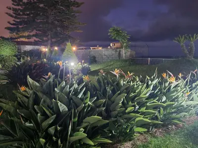 a garden with flowers in a yard at night at come hear the ocean! in Funchal