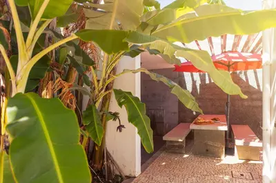 a patio with a bench and a table and a tree at Villa Amplitude in Câmara de Lobos