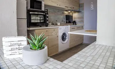 a kitchen with a house plant in a pot at Beachfront Apartments Porto de Mós Beach - Lagos in Lagos