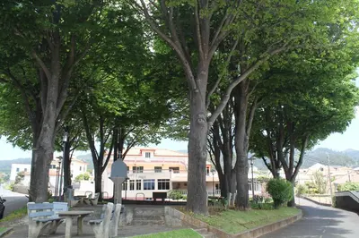 a park with benches and trees in front of a building at OurMadeira - SeaView Apartment in Calheta