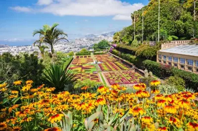 a garden with flowers in front of a building at Comfortable 2-Bedroom Apartment for Relaxing Stays in Funchal