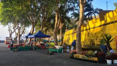 an outdoor market with a yellow wall and trees at Casa da Avó Duca in Machico