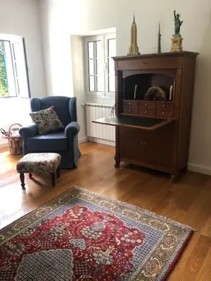 a living room with a fireplace and a rug at Quintinha de Palmyra in Camacha
