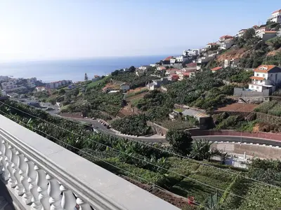 a green bench sitting in the grass at Casa do Terço in Câmara de Lobos