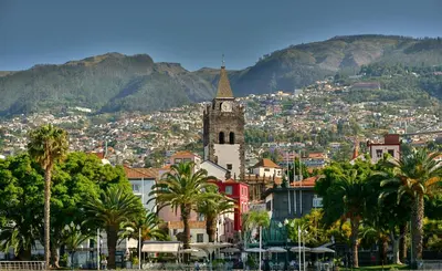 a city with a clock tower and a town with palm trees at Le Vingale in Funchal