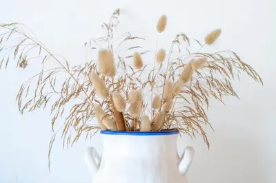 a white vase filled with dried grass at Casa Garrod - Spacious Family Villa in Aljezur