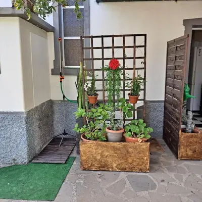 a garden with potted plants on the side of a house at Chalé Funchal - City view in Funchal