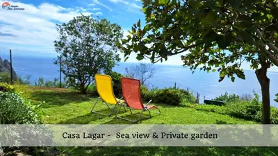 two chairs sitting in the grass under a tree at Quinta São Lourenço in Fajã da Ovelha