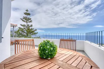 a wooden table with a potted plant on a balcony at Vila Camacho Guest House in Funchal